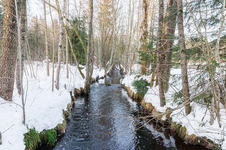 The Schwarzach Creek at Spiegelau in the bavarian forest, Germany