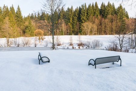 Spa gardens at Spiegelau in the Winter, Bavarian Forest, Germanyの写真素材