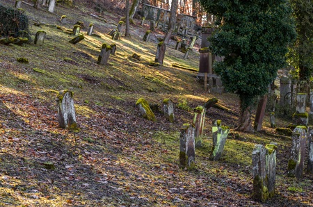 Old Jewish cemetery with weathered tombstones, Germanyの写真素材
