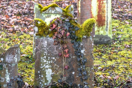 Old Jewish cemetery with weathered tombstones, Germanyの写真素材