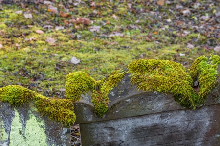 Old Jewish cemetery with weathered tombstones, Germany