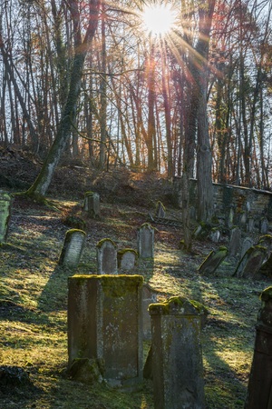 Sun beams at old Jewish cemetery with weathered tombstones, Germanyの写真素材