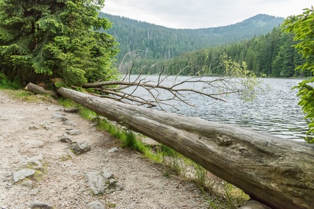 Great Arber Lake, Bavaria - Germanyの写真素材