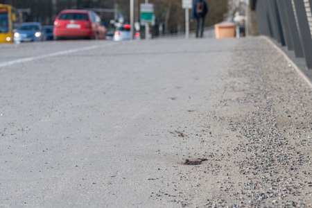 Pedestrian stepped into a doggieの写真素材