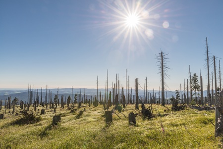 Landscape on the mountain Rachel in the Bavarian Forest, Germanyの写真素材