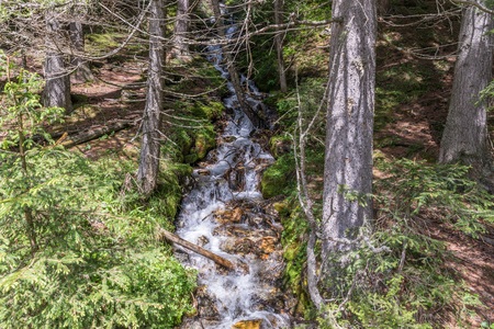 Waterfall of a mountain stream at the nature park Riedingtal Zedernhaus, Austria