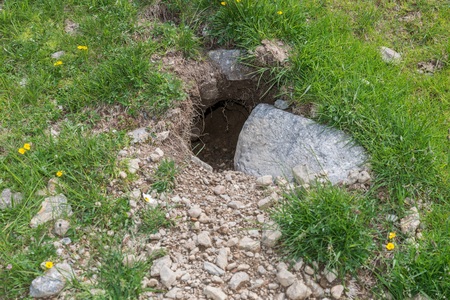 Entrance to a marmot building, Austriaの写真素材