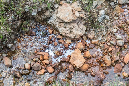 Biofilm by accumulation of micro-organisms on the water surface, Austria