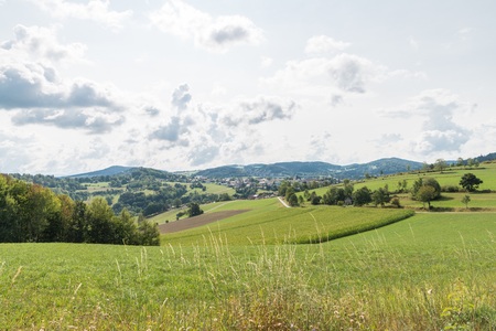Corn field and meadow in the Bavarian Forest, Germany