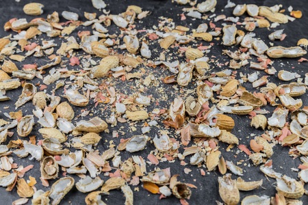 Many peanut shells are distributed on a kitchen worktopの写真素材