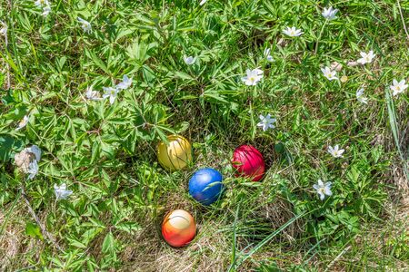 White meadow flowers with colorful easter eggs in the spring sun in the garden, Germanyの写真素材