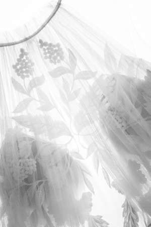 Wedding dress hanging on a hanger in front of a window, Germanyの写真素材