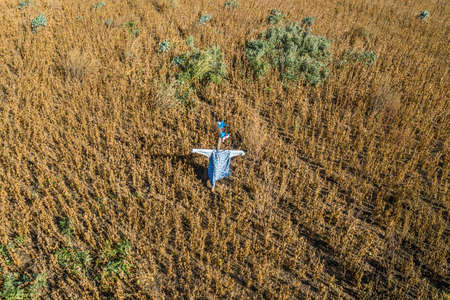 Picture of a self-made scarecrow on a field in Bavaria, Germanyの写真素材