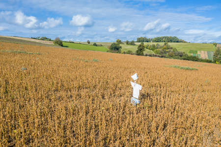 Picture of a self-made scarecrow on a field in Bavaria, Germanyの写真素材