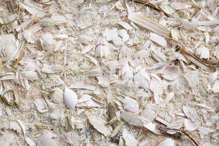 Wood and sawdust on a table workbench as background, Germanyの写真素材