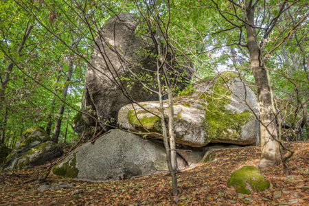 Strangely shaped stone foot of a fossilized titan and an alien skull in the background at cult site Wackelstein Regenstauf in Upper Palatinate Bavaria in Germanyの写真素材