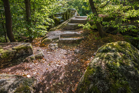 Stone stairs and human processing of stone rocks from the prehistoric times of the ancestors and ancestors at cult site Wackelstein Regenstauf in Upper Palatinate Bavaria, Germanyの写真素材