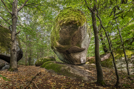 Strangely shaped stone beak stone human stone working defies gravity upright stands artificially placed at a cult site Wackelstein Regenstauf in Upper Palatinate Bavaria in Germanyの写真素材