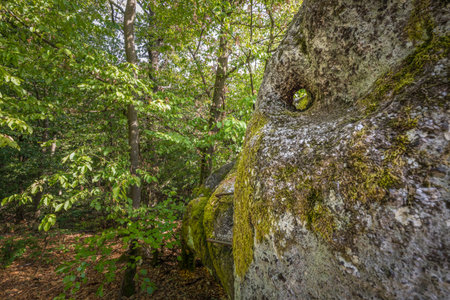 Stone stairs and human processing of stone rocks from the prehistoric times of the ancestors and ancestors at cult site Wackelstein Regenstauf in Upper Palatinate Bavaria, Germanyの写真素材