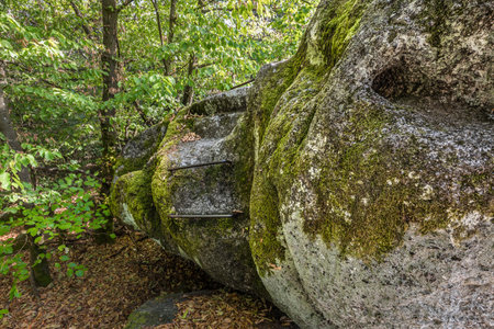 Stone stairs and human processing of stone rocks from the prehistoric times of the ancestors and ancestors at cult site Wackelstein Regenstauf in Upper Palatinate Bavaria, Germanyの写真素材