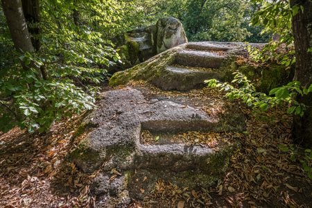Stone stairs and human processing of stone rocks from the prehistoric times of the ancestors and ancestors at cult site Wackelstein Regenstauf in Upper Palatinate Bavaria, Germanyの写真素材