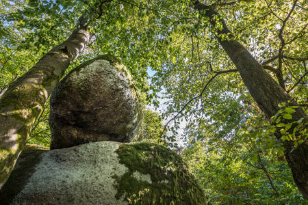 Wackelstein wobble rock cult place near Regenstauf in the Upper Palatinate near Regensburg in the forest with chain to pull and wiggle, Germanyの写真素材