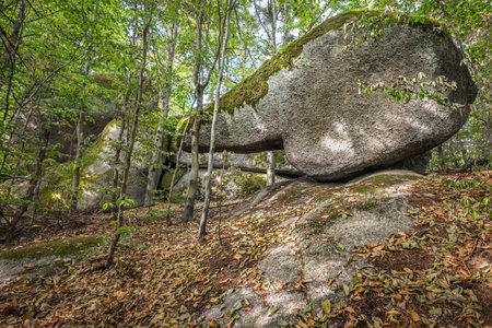 Strangely shaped stone beak stone human stone working defies gravity upright stands artificially placed at a cult site Wackelstein Regenstauf in Upper Palatinate Bavaria in Germanyの写真素材