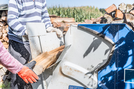 Close up of circular saw with logs for wood cutting, Germanyの写真素材