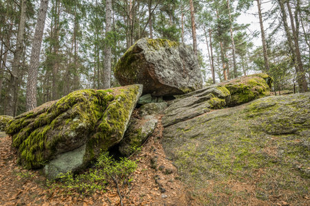 Wackelstein near Thurmansbang megalith granite rock formation in winter in Bavarian forest, Germanyの写真素材