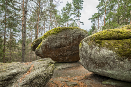 Wackelstein near Thurmansbang megalith granite rock formation in winter in Bavarian forest, Germanyの写真素材