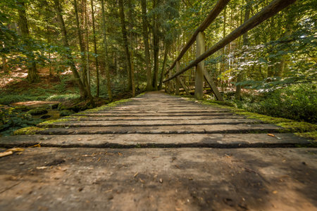 Wooden bridge over the HÃ¶llbach stream in the HÃ¶llbachtal nature reserve near the circular...