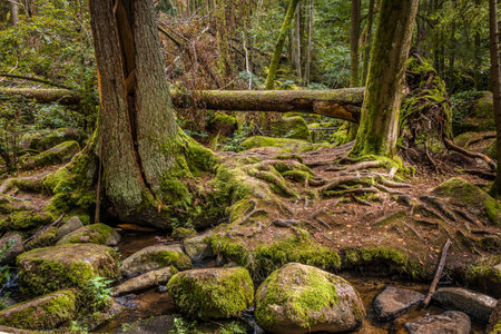 Megalith stones in the Höllbach Valley in the nature reserve near the circular hiking trail in...
