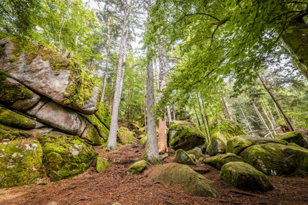Megalith stones in the HÃ¶llbach Valley in the nature reserve near the circular hiking trail in...