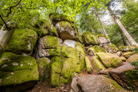 Megalith stones in the HÃ¶llbach Valley in the nature reserve near the circular hiking trail in Rettenbach near Falkenstein in Bavaria, Germanyの写真素材