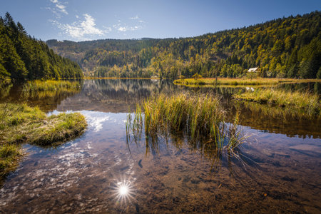 Circular hiking trail around Lake Kleiner Arber in autumn, Bavaria, Germany