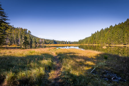 Circular hiking trail around Lake Kleiner Arber in autumn, Bavaria, Germanyの写真素材