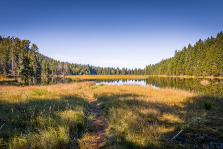 Circular hiking trail around Lake Kleiner Arber in autumn, Bavaria, Germanyの写真素材