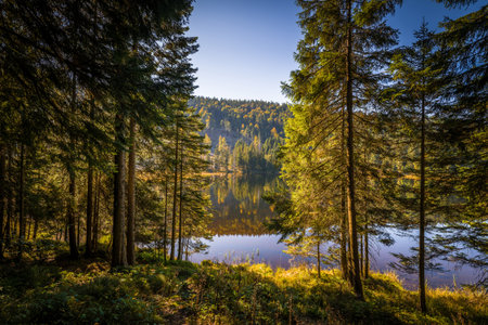 Circular hiking trail around Lake Kleiner Arber in autumn, Bavaria, Germanyの写真素材