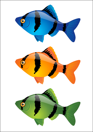 Colorful tropical fish isolated on white backgroundのイラスト素材