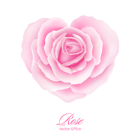 Rose flower in heart shape vector illustration.のイラスト素材