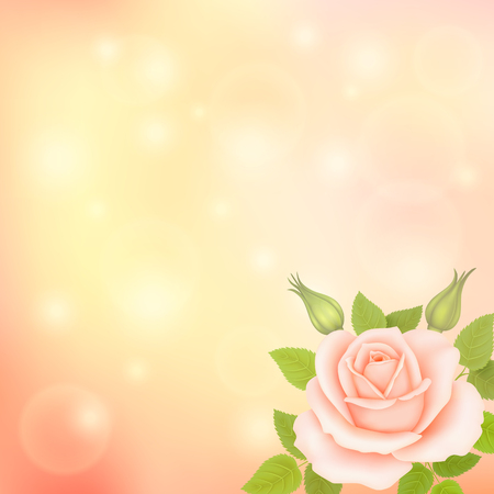 Vector blurry soft background with photographic bokeh. Romantic background with roseのイラスト素材