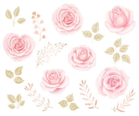 Flower pink rose, green leaves. Floral clipart Vector floral elementsのイラスト素材