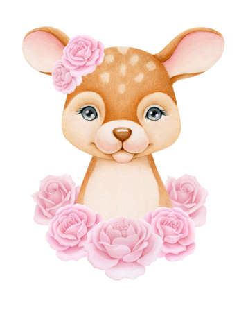 Baby Deer and roses. Hand drawn cute fawn. Watercolorの写真素材
