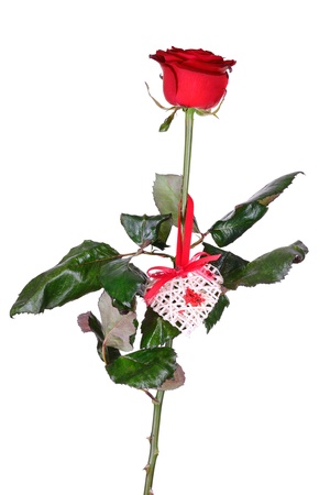 Red rose isolated with heartの写真素材