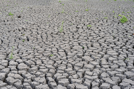 Cracked ground. Lake of a climate change victimの写真素材