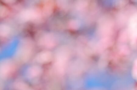 Blurred nature photo for backgroundの写真素材