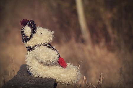 Old toy bear sit in bench in sunsetの写真素材