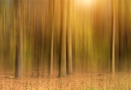 Abstract autumn forest in motion blurの写真素材