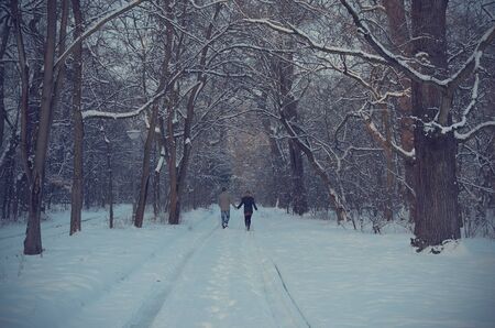 Couple on winter path in forest at nightの写真素材