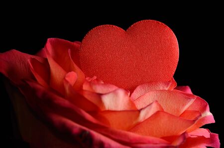 Closeup photo of a rose with heart shape on black backgroundの写真素材